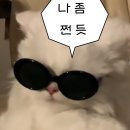 (주)더워터
