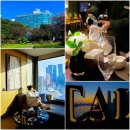 홀리트리지역아동센터 | 중국 상해 호텔 반얀트리 상하이 숙소 호캉스 추천