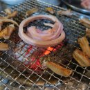 강대포식당 Daum카페