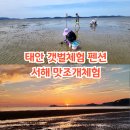 라포엠펜션 | 태안 갯벌체험 펜션 진산리 갯벌체험장 진산리 어촌계 서해 맛조개체험 추천
