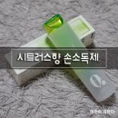 시트러스디자인 이미지