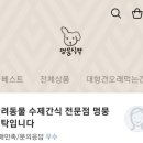 멍뭉식탁 이미지