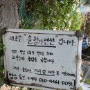 솔향기민박 | [여행수집 #007] 옥천 계곡 추천🌿 솔향기펜션 평상 대여 후기｜아기와 함께 다녀온 계곡 물놀이