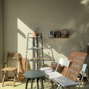 티룸동백 이미지