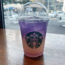 블라썸티 이미지