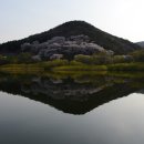 현대목장 이미지