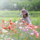 은소라 이미지
