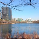 엘리스와플 이미지