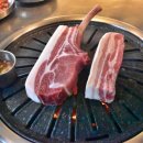 도톰협재