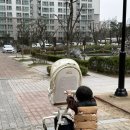 신세계산부인과의원 | 2차 기형아 검사 다운증후군 고위험군 판단 .. 서초 함춘여성의원에서 양수검사 후기 &amp; 비용, 결과 💉