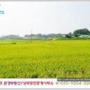 공검면 화동리 이미지