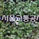 서울공사 이미지