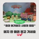 사형제 | 홍대 AK몰 _ 아기돼지 사형제 팝업 솔직후기 (굿즈포함)