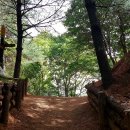 우면산5-8 이미지