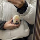 32일이라고 33일이라고