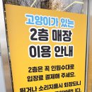 솔빈 마루 이미지