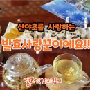 약초본가제분소 이미지