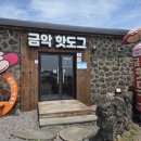 금악핫도그