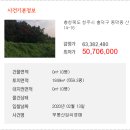 동막동(1) 이미지