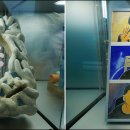 세종헬스케어 이미지