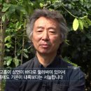 부자작물재배