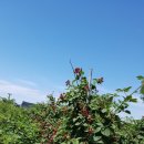 솔뫼석주원 이미지