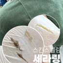 깨끄시 이미지
