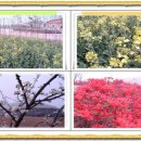 마한문화공원 이미지