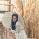 비비즈