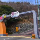 꽃마을로 이미지