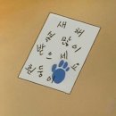 오장밥상 | 2025 연말결산 음식편