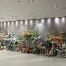 연제구-140 | [부산 웨딩홀 투어] w웨딩 국민연금 솔직후기 및 26년 하반기 견적공유