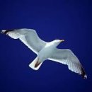 통영국제음악당 이미지