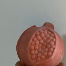 쇼퍼바니