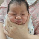 금빛여성의원 이미지