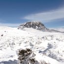 캬바레 십자군 이미지