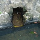 추사 유배길 - 1코스 집념의 길 이미지