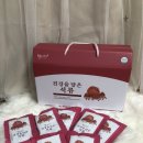 웰시스 이미지