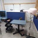 도그 애견미용실 이미지