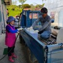 청양군농업기술센터 이미지