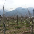 뉴한길공인중개사사무소 이미지