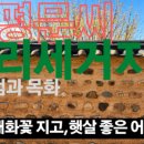 대구달서구 청소년수련관 공영주차장 네이버블로그