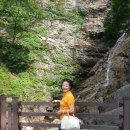 강촌산장 이미지