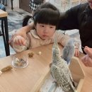 서온블리