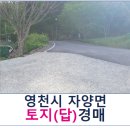 보현3리 절골경로당 | 경상북도 영천시 자양면 토지(답) 경매, 경상북도 영천시 자양면 보현리 1736-7 [2023타경105471]