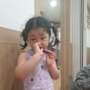 미암면사무소 이미지