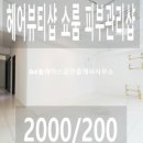 A0247 이미지