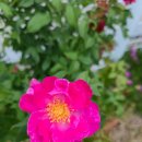 현대배관 이미지