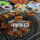 대영아나고