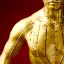 씨에스나무병원 이미지